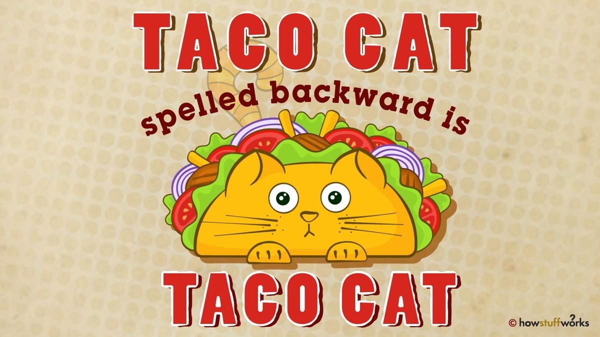 Taco Cat: It's a Palindrome!