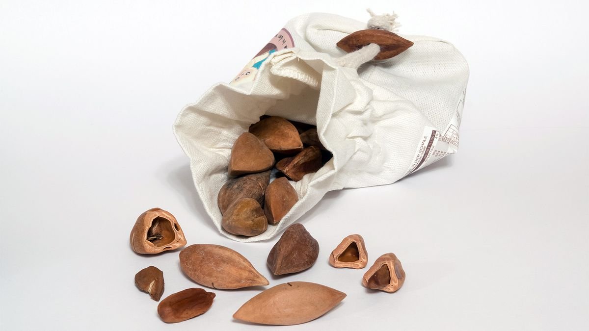 The Pili Nut Is a Nutritional Powerhouse Worth Cracking