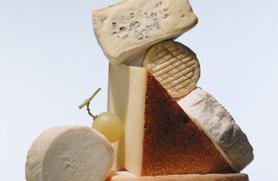 5 Vegan Cheese Options That Pass Cheese-Lover Muster