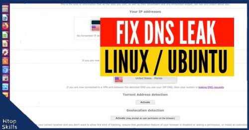 Fix dns leak in ubuntu