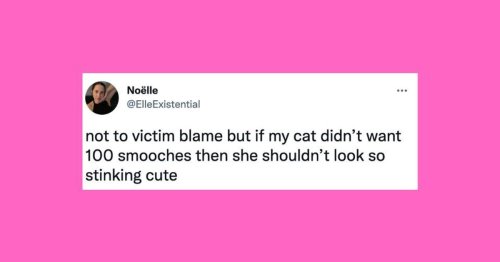 23 Of The Funniest Tweets About Cats And Dogs This Week (Sept. 17-23)
