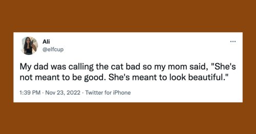 22 Of The Funniest Tweets About Cats And Dogs This Week