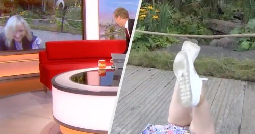 Carol Kirkwood Dragged To Floor By Guide Dog During Live BBC Breakfast Broadcast