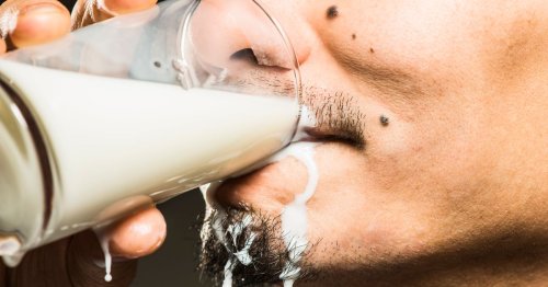 The Best Types Of Milk To Drink For Bone Health, Including Non-Dairy Options