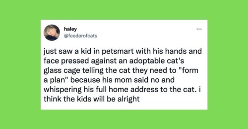 20 Of The Funniest Tweets About Cats And Dogs This Week (Jan. 7-13)
