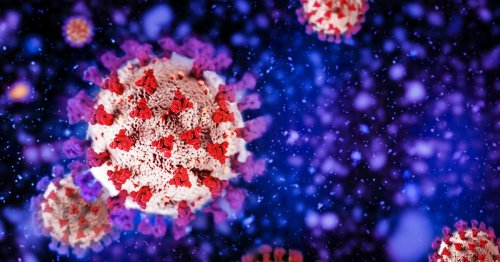 Variant Omicron: Ce qu'il faut retenir des nouvelles études américaines sur la protection des vaccins