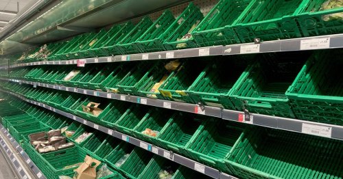 People Share Pictures Of Empty Supermarket Shelves As UK Faces Tomato Shortage