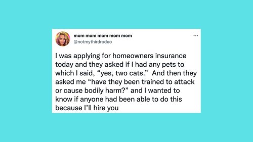 20 Of The Funniest Tweets About Cats And Dogs This Week (July 30-August 5)