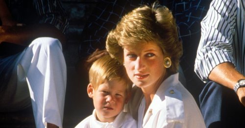 When The Royals Cut Harry And Meghan Off, Princess Diana Protected Them