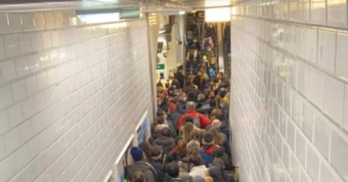 Des scènes de cohue dans le métro après la mort d'un homme sur les voies à Châtelet