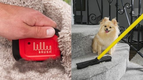 10 Reviewer-Approved Tools That Actually Remove Pet Hair From Your Stuff