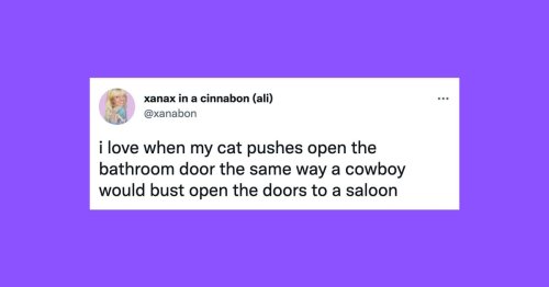 20 Of The Funniest Tweets About Cats And Dogs This Week (Aug. 27-Sept. 2)