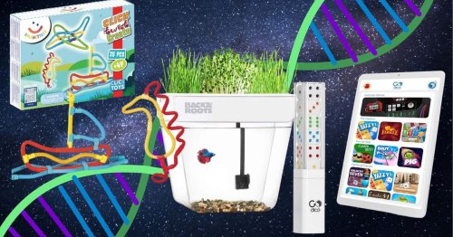 The Best STEM Gifts For School-Age Kids, According To Education Experts