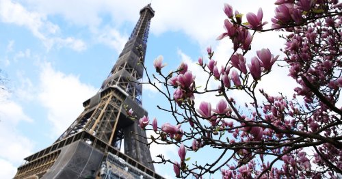La Tour Eiffel rouvre après 9 mois, sa plus longue fermeture après-guerre