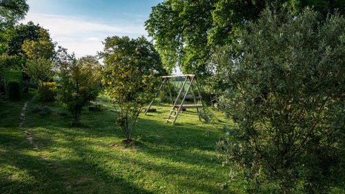 Quand faut-il tailler votre haie et élaguer vos arbres ? Les conseils (et les alertes) de la LPO
