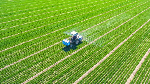 Dépressions, cancers… L’alerte majeure de l’Anses sur les effets des pesticides sur la santé