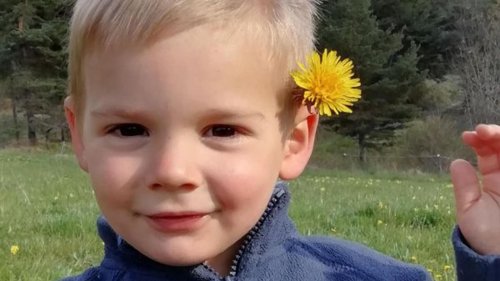 Mort du petit Émile : ce que l’on sait de cette « imposante » jardinière saisie par les enquêteurs