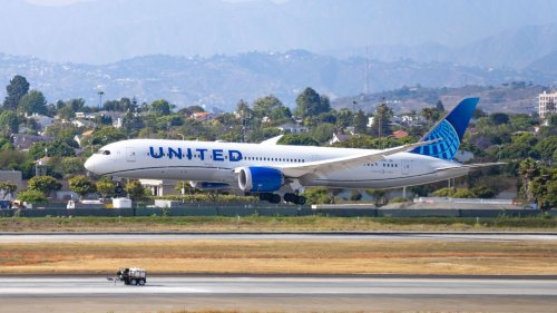 Le moteur d’un avion de la United Airlines prend feu... à cause d’un lapin