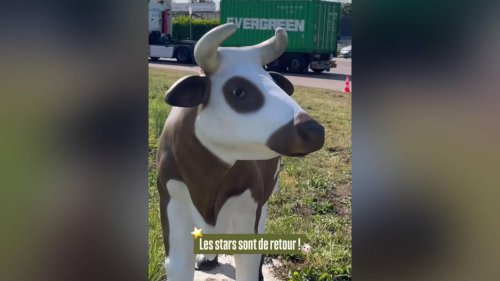 Près de Rouen, le rond-point des vaches retrouve ses statues sept ans après leur destruction par les gilets jaunes