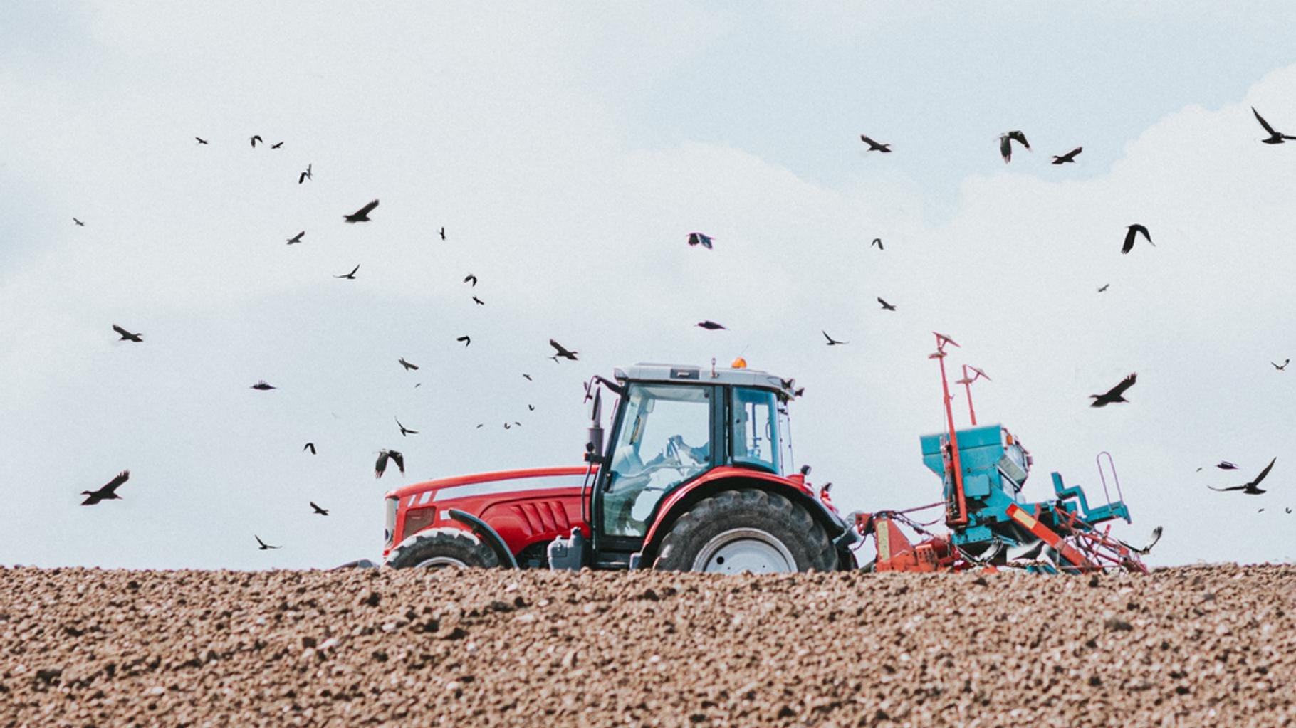 Pourquoi l’article 13 du projet de loi agricole crispe les défenseurs de l’environnement
