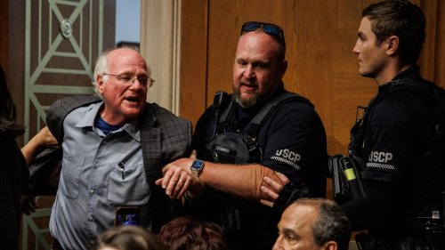 Aux États-Unis, l’expulsion musclée du fondateur de « Ben & Jerry’s » en pleine audition de Robert Kennedy Jr au Congrès
