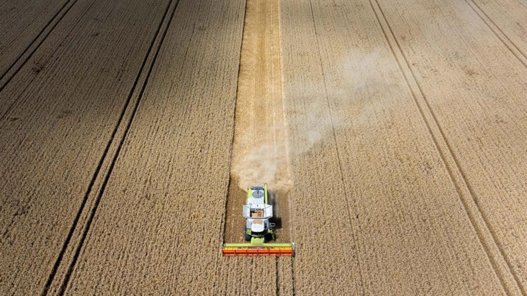 Cultiver pour exporter, l’« absurdité » de l’agriculture française dénoncée par l’association Terres de Lien