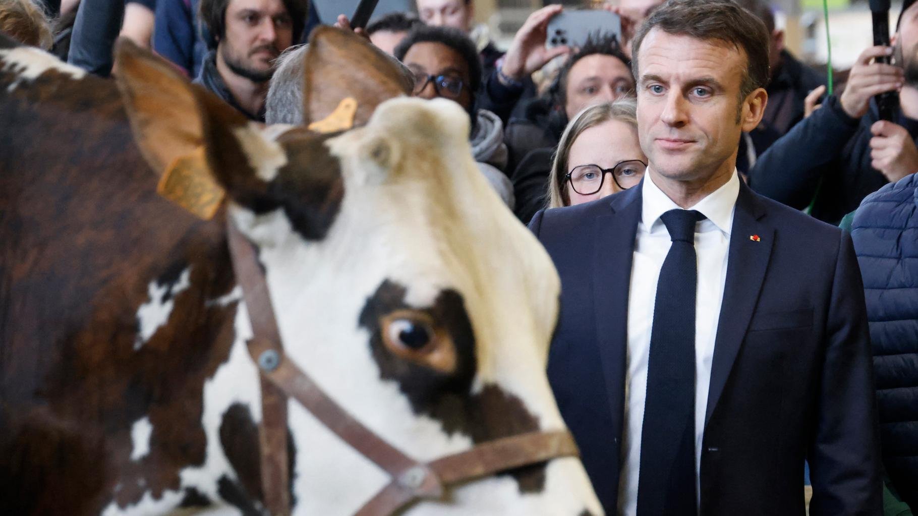 Au Salon de l’agriculture, après le « traumatisme » de l’année dernière, des visites politiques très encadrées
