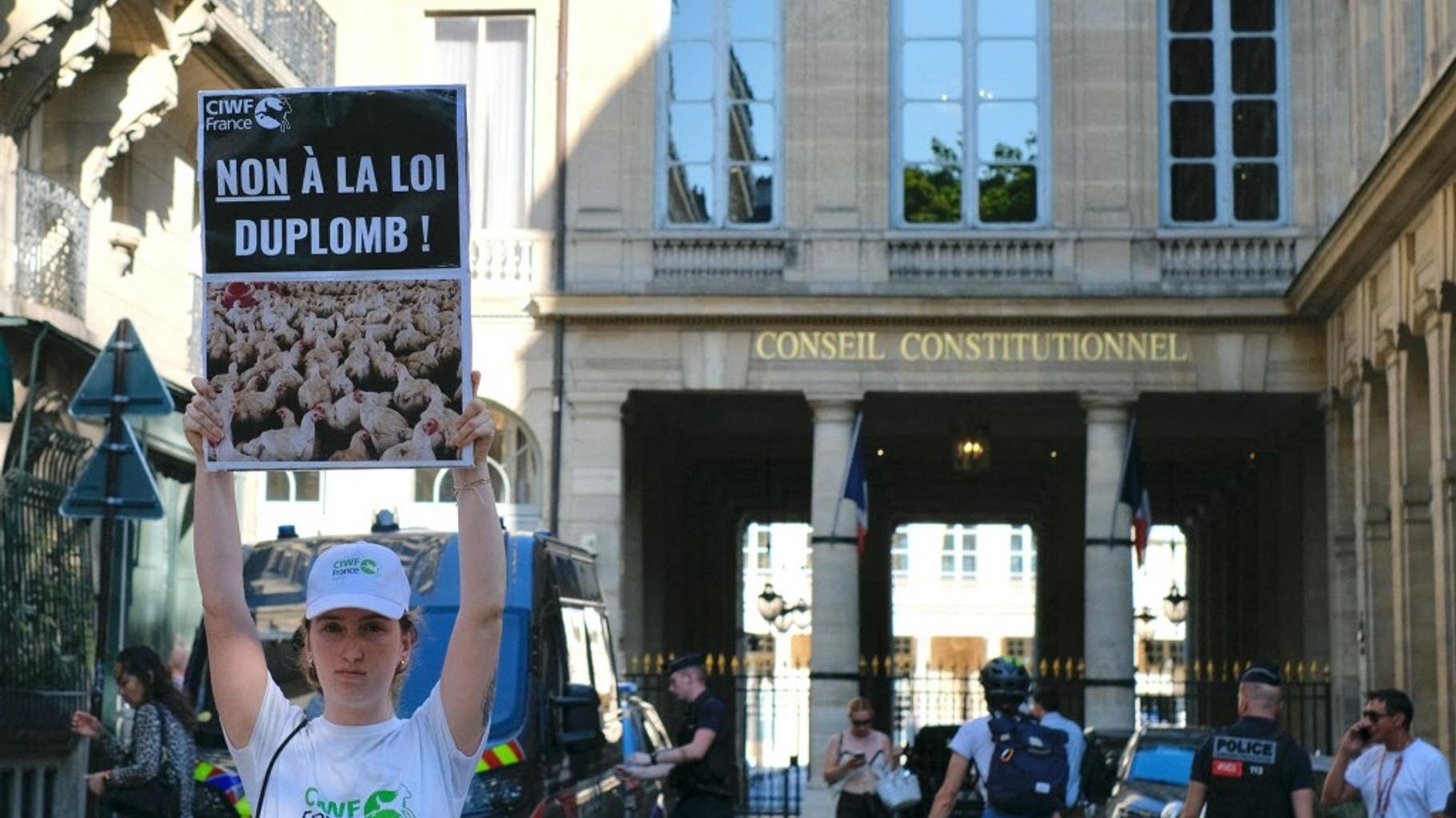 Pourquoi, sur la loi Duplomb, la décision du Conseil constitutionnel ne clôt pas le débat