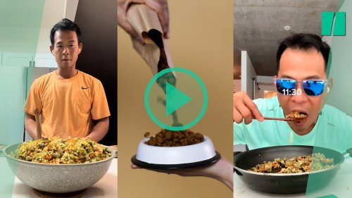 Cet influenceur américain invente les « croquettes pour humain », étrange recette pour manger bien