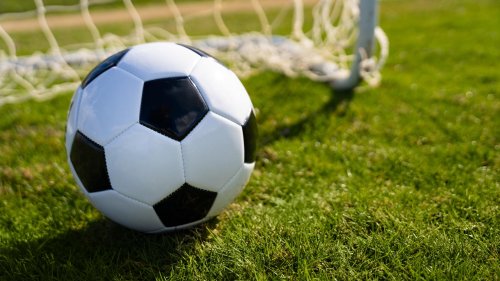 Au match Dijon-Valenciennes, les organisateurs ont dû faire appel au public pour trouver un arbitre