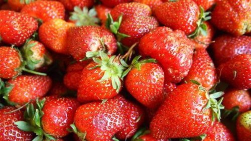 Cette pâtisserie du Val-d’Oise a battu le record du plus long fraisier du monde