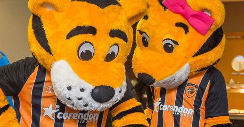 Hull City mascot Amber gives stand wide berth after being ‘grabbed ...