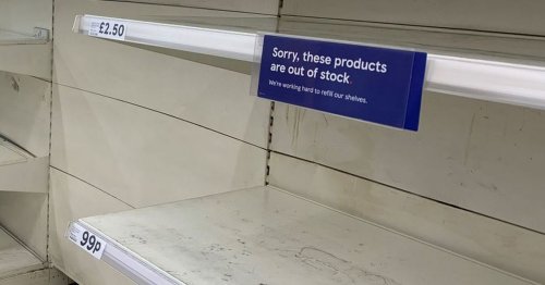 Tesco shelves emptied of pet food brands after Heinz dispute