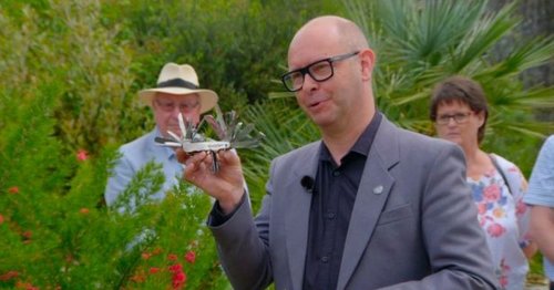 Antique's Roadshow guest shocked at value of his dad's multitool
