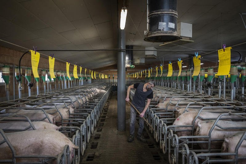 Comment le capitalisme et l’industrialisation empêchent la France d’atteindre la souveraineté alimentaire