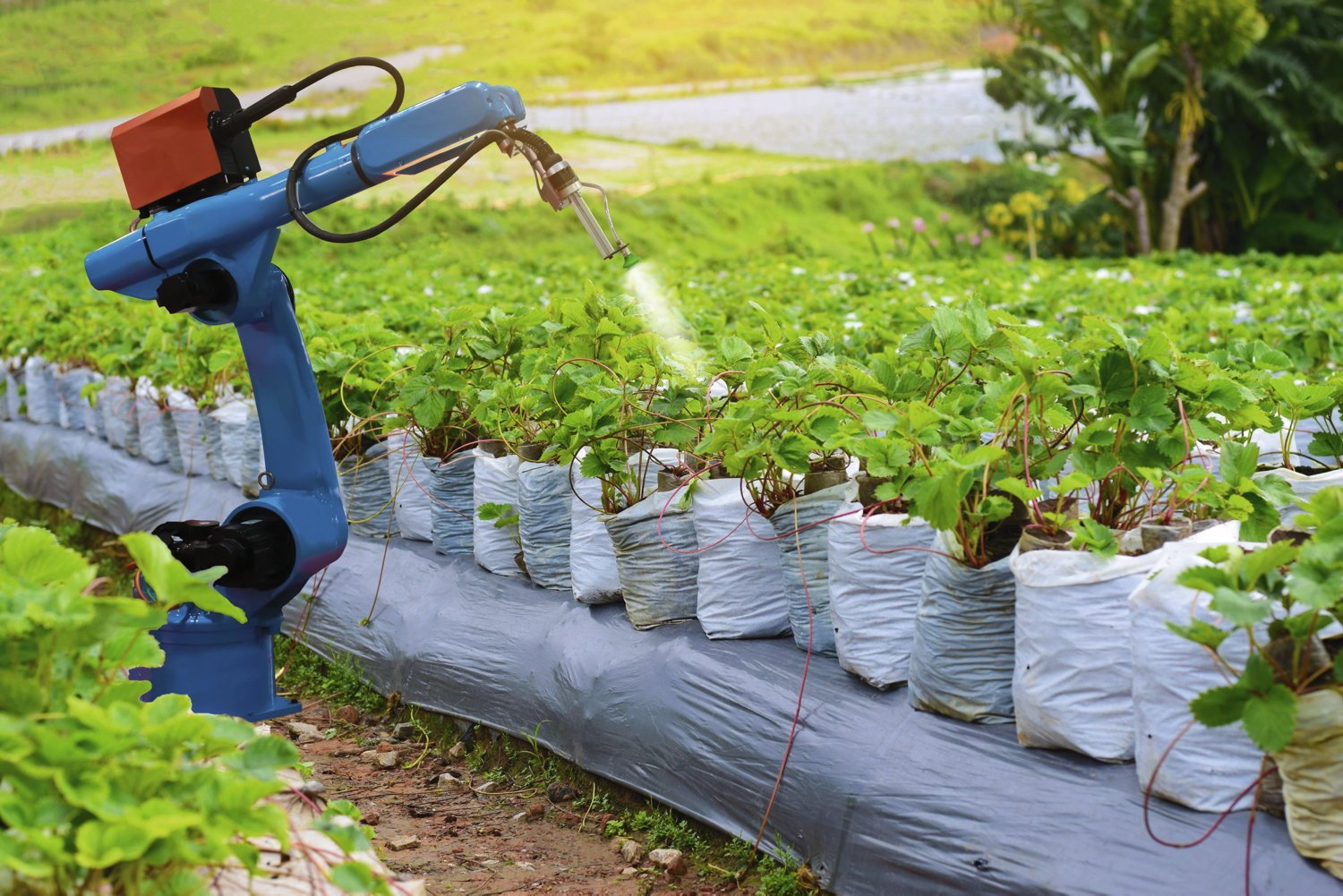 « Plus d’un fruit sur deux, près d’un légume sur quatre » : comment les résidus de pesticides toxiques s’invitent dans nos assiettes
