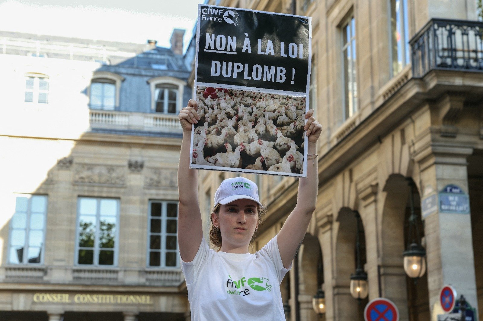 « Ce n’est pas aux industriels de décider de notre agriculture » : les opposants à la loi Duplomb se préparent à poursuivre le combat à la rentrée