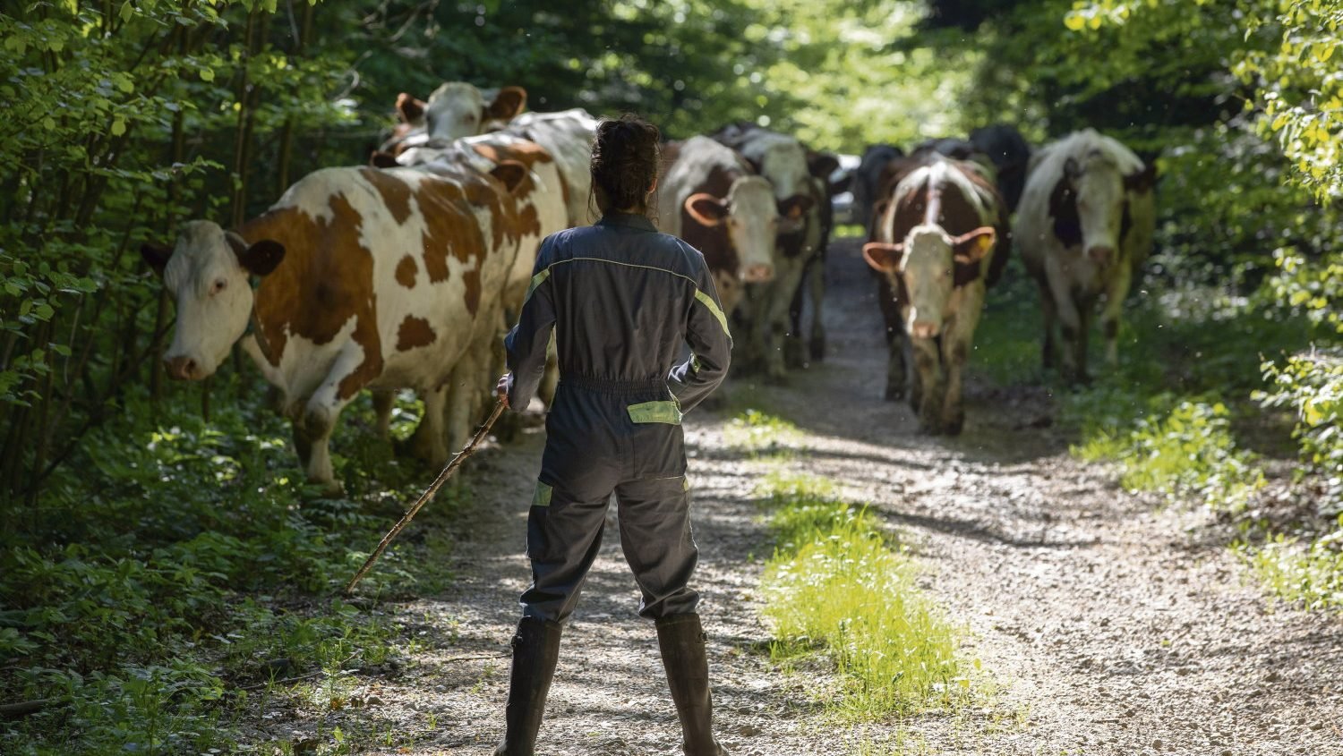 « Le sexisme ordinaire est un énorme frein » : de l’installation à la rémunération, un parcours semé d’embûches pour les agricultrices