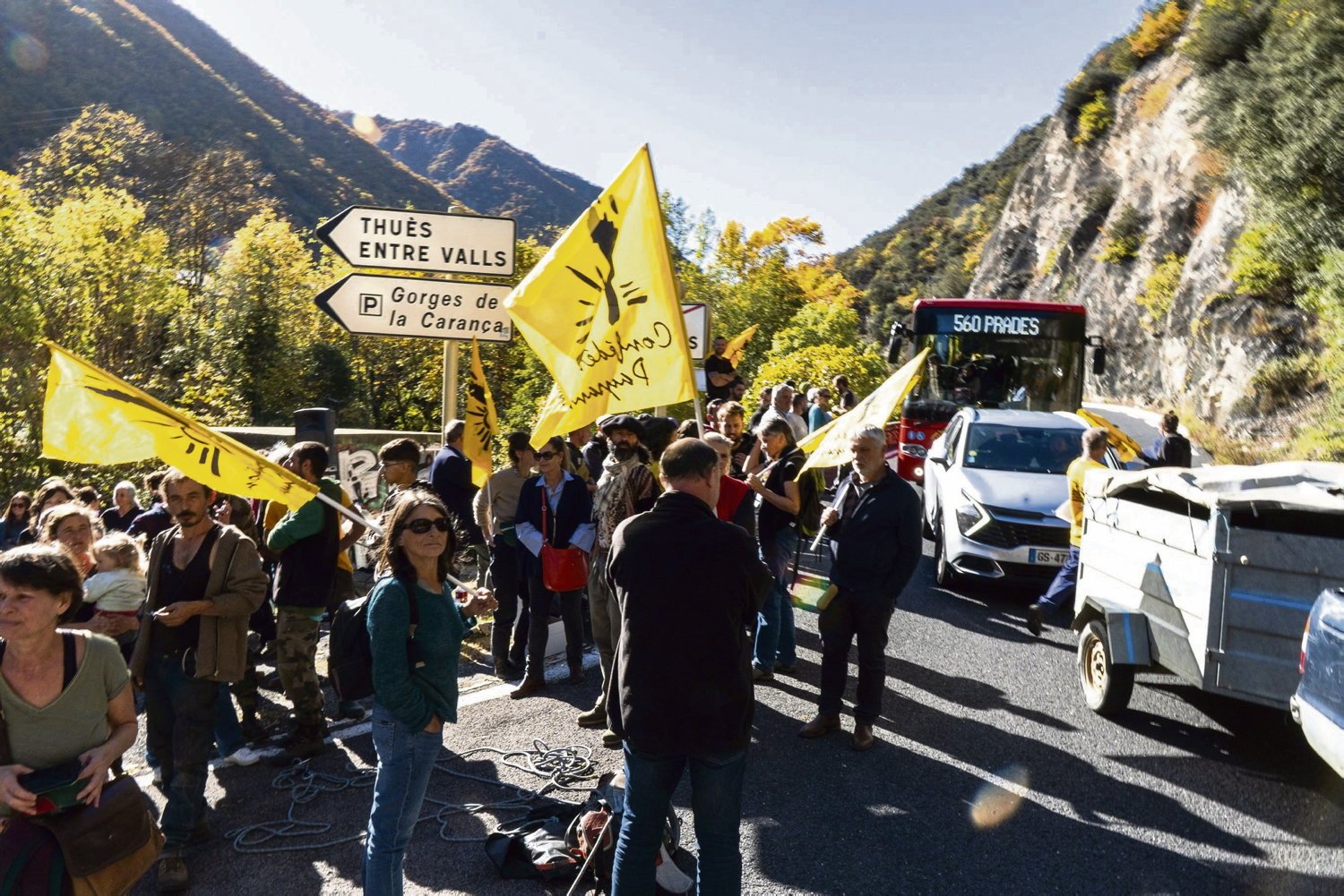 « La première chose qu’on fait, c’est pleurer » : face au virus bovin, une politique inhumaine d’abattage total