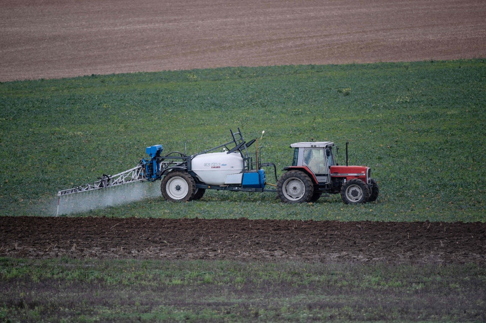 Des pesticides dangereux présents dans deux tiers des fruits et légumes conventionnels