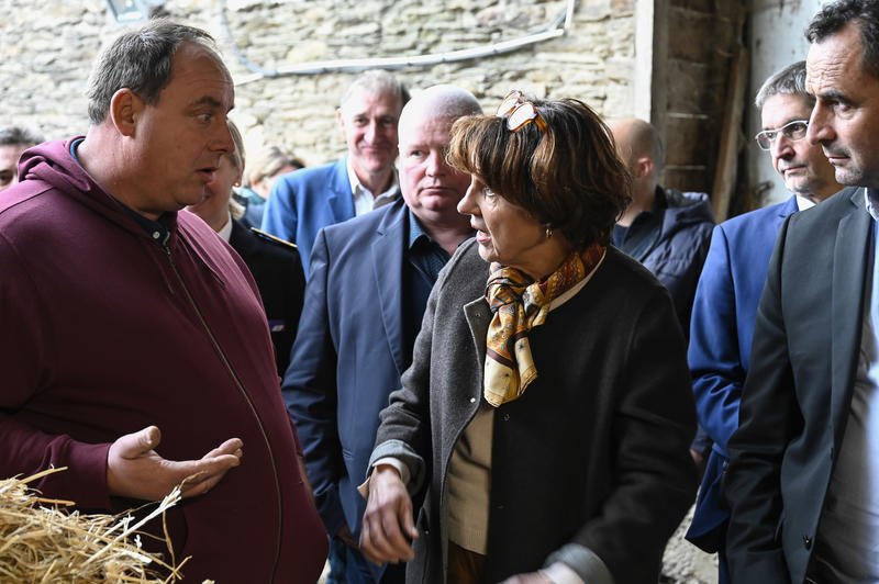 Discourir à Rungis et mentir par omission