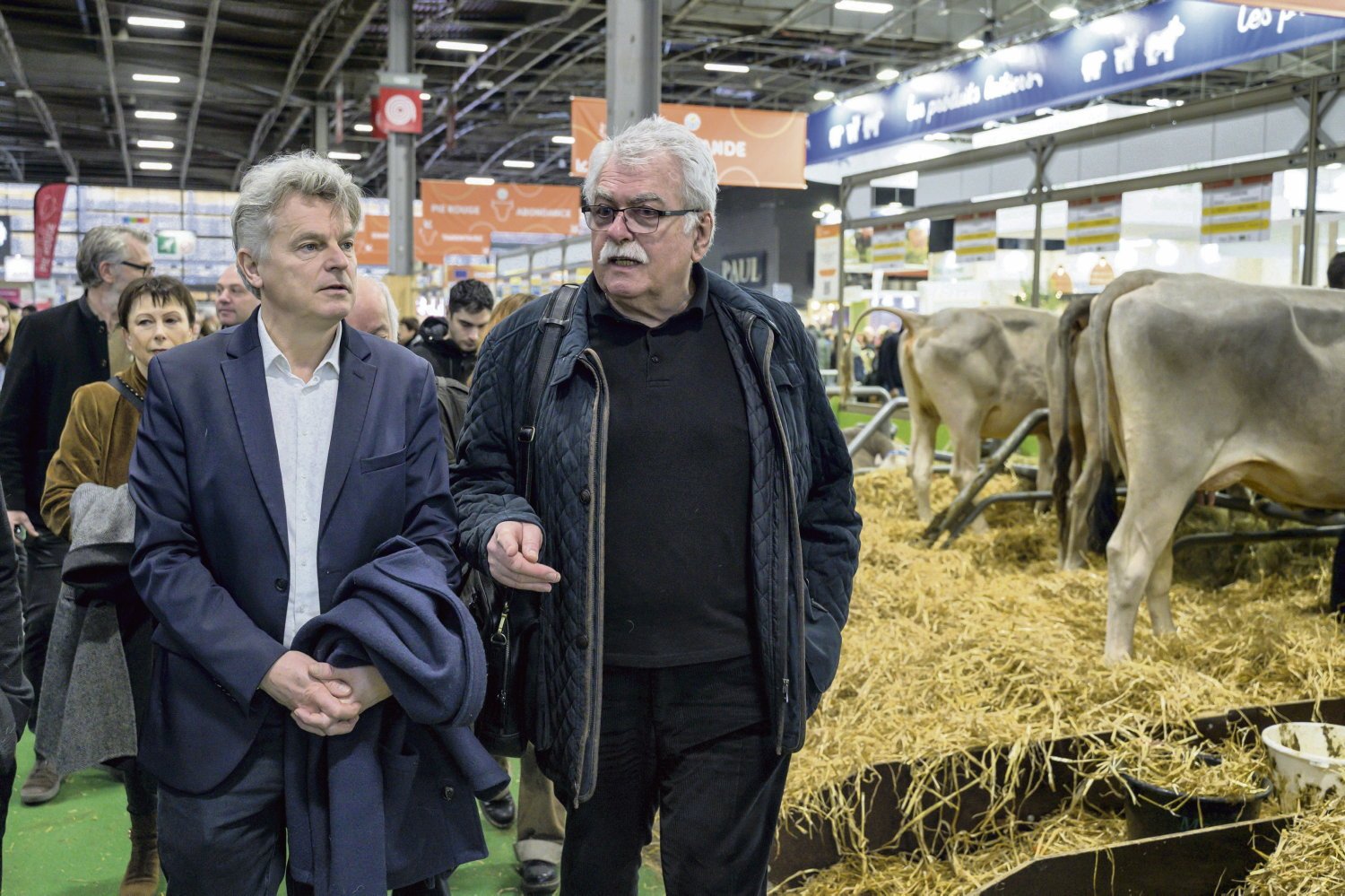 Meilleurs revenus, accès au foncier à bas prix, prêt à taux 0… Comment la gauche veut soutenir les paysans