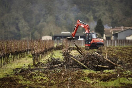 Droits de douane : la menace de Donald Trump est-elle une chance pour le vin français ?