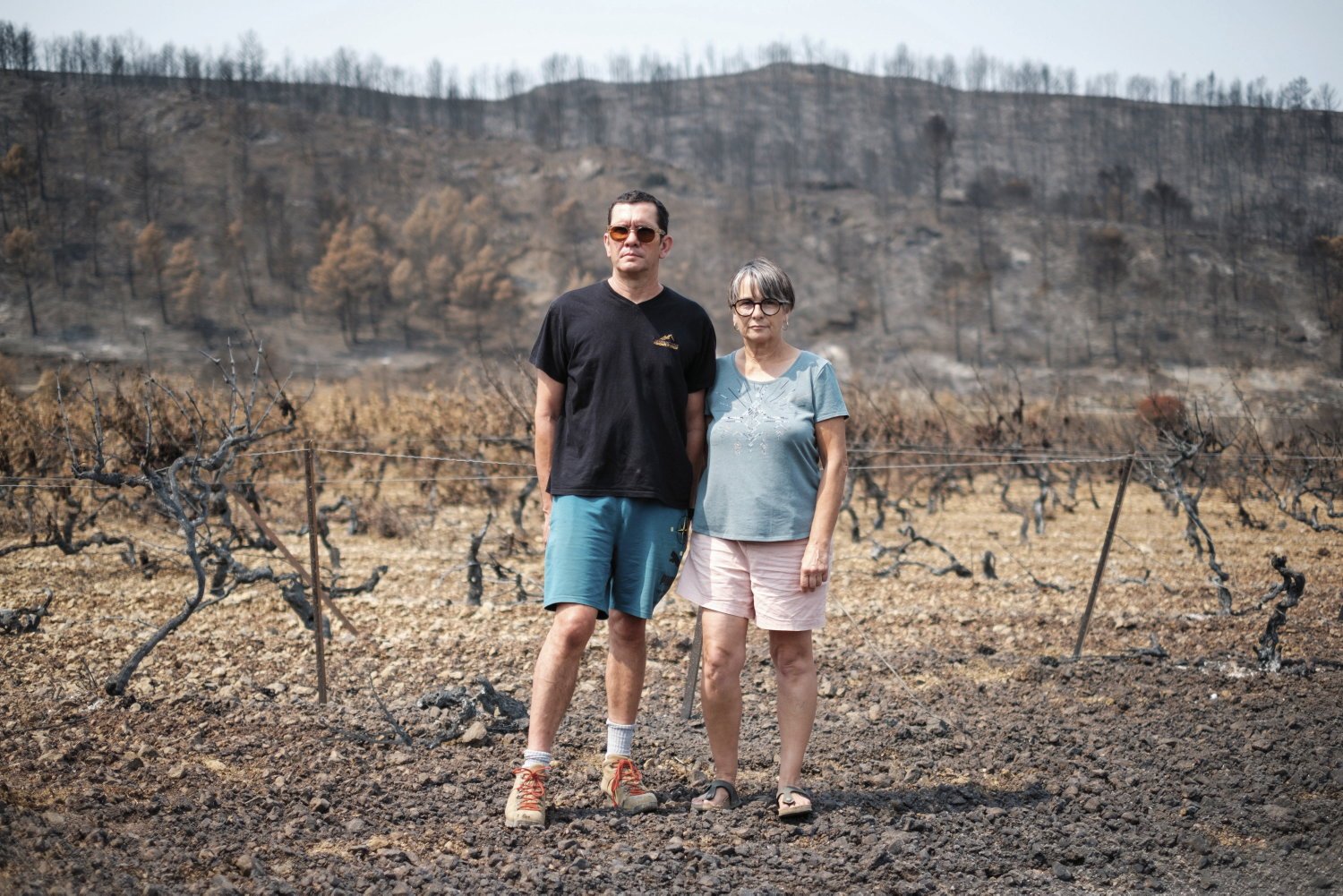 Dans les Corbières, les producteurs de vins désemparés après « l’incendie du siècle »