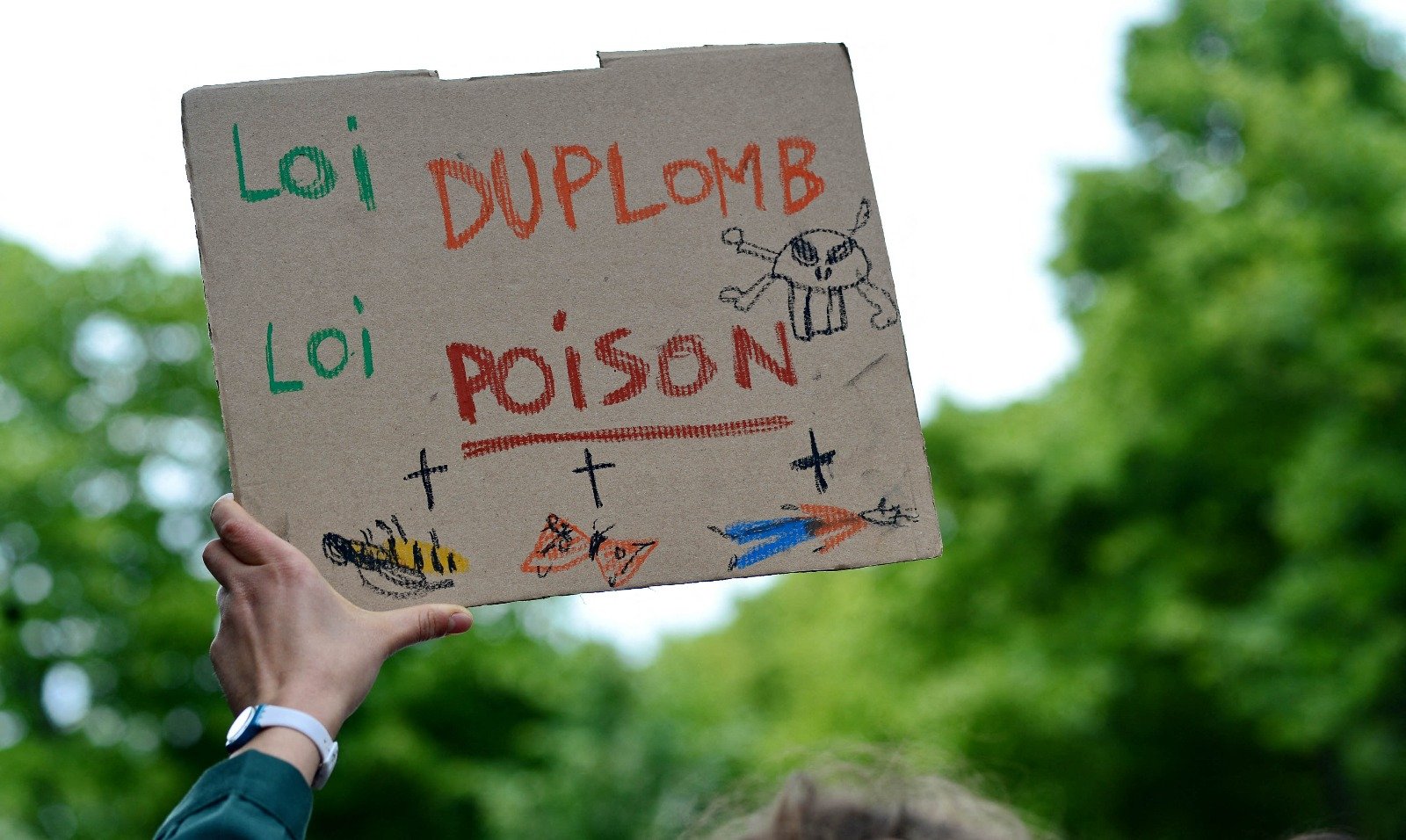 Le conseil constitutionnel censure partiellement la loi Duplomb et invalide la réintroduction de l’acétamipride