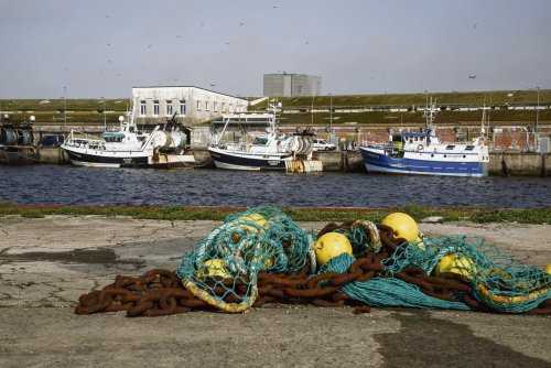 À Lorient, un partenariat avec le sultanat d'Oman effraie pêcheurs et défenseurs de l'environnement - L'Humanité