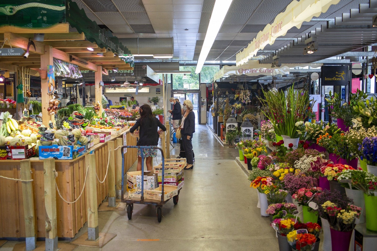 « Une contamination massive » : les bouquets de fleurs infestés par les pesticides, dévoile UFC Que Choisir