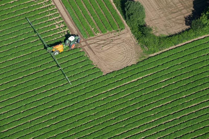 Un recul sans précédent sur les pesticides : l’alerte de 114 organisations de protection de l’environnement