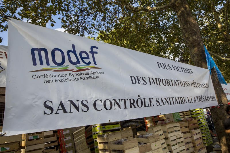 « On doit faire en sorte que chacun puisse vivre dignement de son travail », le Modef sort ses griffes pour les élections aux chambres d’agriculture