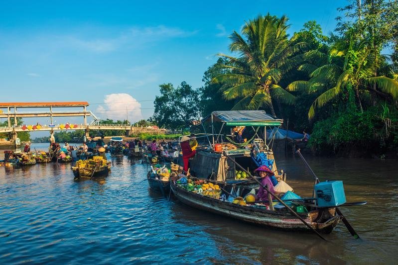 Vietnam : le delta du Mékong, un trésor naturel en péril à cause du réchauffement climatique